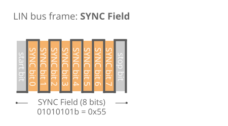 LIN Bus Sync Field